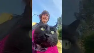 #shortsvideo 😜😼