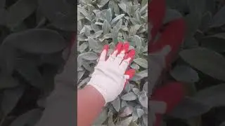 Горе от ума 🙆🤷