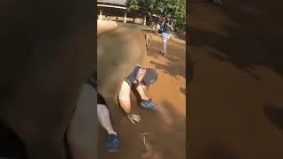 shoking animal accidents 1 #shorts #youtubeshorts  #shortvideo