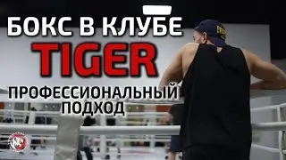 БОКС. Спарринги. Профессиональный подход. Мастер Спорта Павел Михеев. Клуб Единоборств TIGER Москва