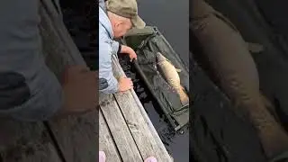 Трофей с водоёма Ковалевичы