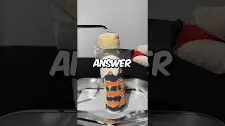 The Chuck's Norris #funnyvideo  #fun #funny #showerthoughts  #facts #chucknorris  #funfacts