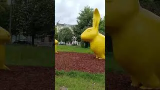 Зайцы, скульптура #европа #бельгия #юмор
