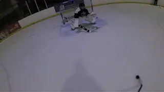 Hockey vs Crypto | GoPro