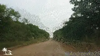 Лили проливные дожди, Андреевка, август 2019