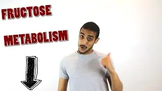 Fructose metabolism step by step