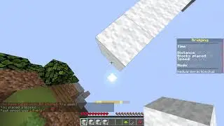 Speedbridging | Minecraft