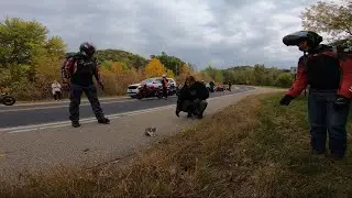 Saving Kittens and Going Fast |  S1000RR