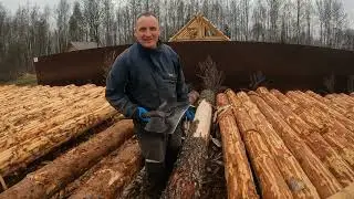Снимаю кору с брёвен лопатой. Для меня это лучший инструмент для окорки.