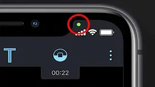 If Your iPhone Has a Green Dot in iOS 14 | What's That Green/Orange Dot On IOS 14?
