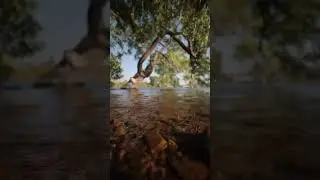 به سکوت سرد زمان : به خزان زرد زمان