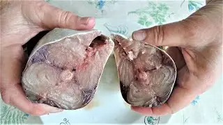 Blue Mackerel is delicious