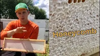 Honeycomb. How To Set-up Frames For Cut Honeycomb Squares