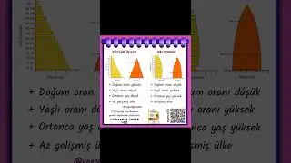 NÜFUS PİRAMİTLERİ - SHORTS Bİ DAKKA SERİSİ - 3 #yks #tyt #ayt #shorts