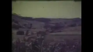 Brazopolis Antigo   1981