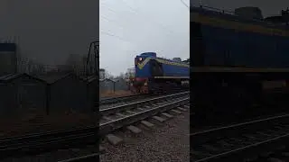 тэм2 7222 на Парнас #ржд #2тэ116