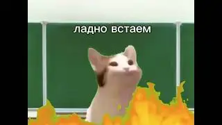 Типичная тревога в школе.