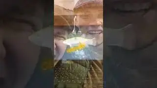 28 ноября 2023 г.