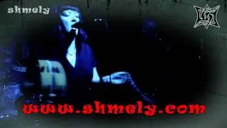Шмели Shmely1
