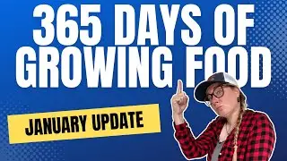 Showing how much FOOD I CAN GROW in 365 DAYS in my Rise Garden | January Update