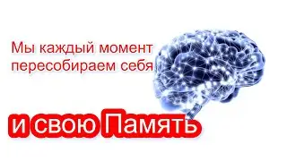 Мы каждый момент пересобираем себя и свою Память