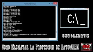 Como Habilitar la Proteccion de Datos(DEP)