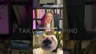 Сумки в виде ПЛЮШЕВЫХ КОТИКОВ покорили интернет! #котики #новости #реклама