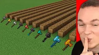 WELCHE AXT baut SCHNELLER AB? 🤔 (Minecraft)