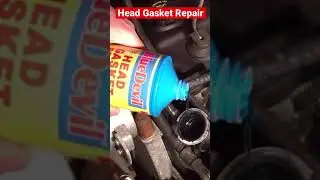 How to “Easily” fix a blown head gasket. Anyone can do it 👍