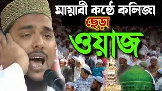 ভাইজান নিজের আব্বাজানের কষ্টের কথা বলতে গিয়ে কেঁদে ফেললেন পীরজাদা আব্বাস সিদ্দিকী