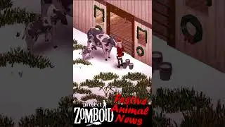 The ANIMALS can WEAR HATS!!!!!! - 🎁Giveaway Day 24🎁 