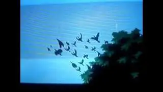 Era uma vez na Floresta