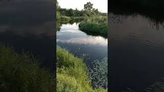вечерняя рыбалка