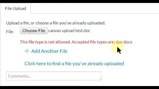 Canvas File Submission Format Error -  Possible Fix