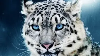 10 Unbelievable Animals SAVED From Extinction!