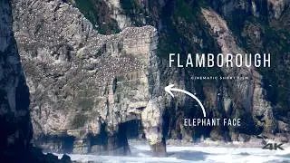 4K Cinematic Video Flamborough North landing coast,UK - Samsung Galaxy Fold 2,Panasonic FZ82, Capcut