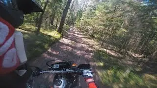Лесной продубас | Honda XR250