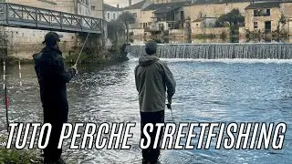 🎣 TUTO PERCHE EN STREETFISHING