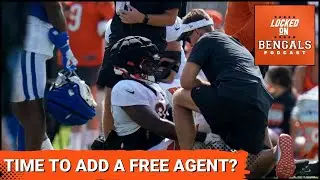Will Bengals Add Veteran Defensive End Following Myles Murphy's Injury?