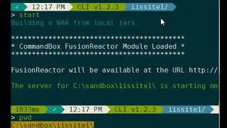 Screencast -  Running CommandBox Servers Behind IIS