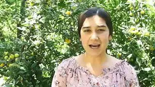 30 июнь ''Ёшлар куни"га багишланади.