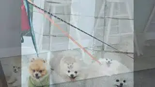 Новое видео !!!!