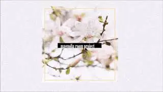 //magnolia room project// - 00. - million years ago