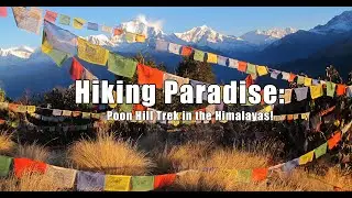 Poon Hill Trek: Exploring Nepal's Majestic Beauty