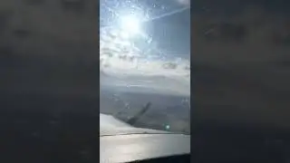 #fly