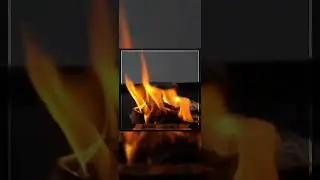 |Эдит Леди Баф супер кот и Андрей|песня очень подходит)) | #анукадавайка