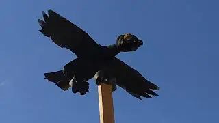 Пугало от птиц🐦своими руками, из пластиковых бутылок (июль 2022).