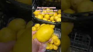 Покупаем продукты экологично! Подпишись! 