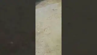 Сув бу оби хаёт/вода это жизнь/suv bu obi hayot