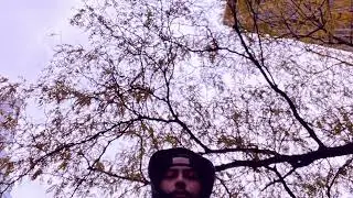 A.K.A. TyRaNt - RUN IT
